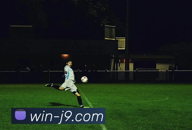 九游体育平台生态图