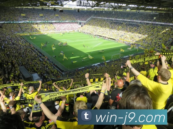 九游体育APP 封面图